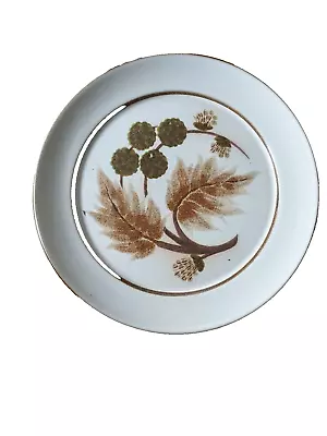 Buy Denby Cotswold Pottery Stoneware Dinner Plate 25cm Diameter • 6£