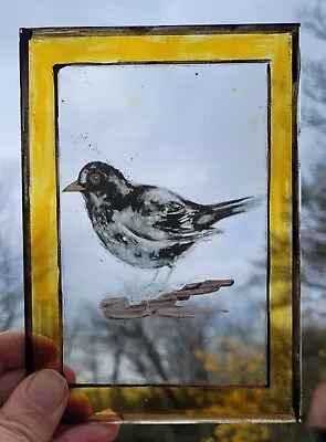 Buy Stained Glass Blackbird Vintage Piece Kiln Fired With Silver Stain Border • 12.99£