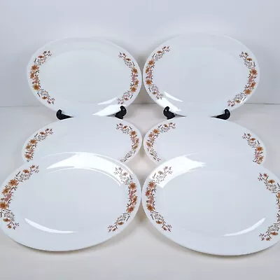 Buy Pyrex Oval Steak Plates 30cm Brown Floral Vintage Milk Glass Dinnerware Set Of 6 • 34.29£
