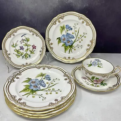 Buy Spode Fine Bone China Stafford Flowers LOT 6 Plates, Cup, Saucer Made In England • 504.26£