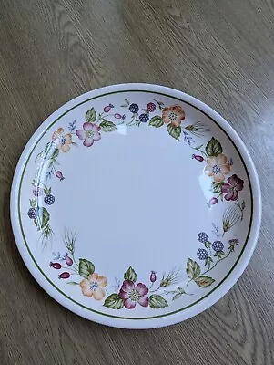 Buy Vintage Biltons Country Lane Dinner Plate 9 3/4  Excellent Condition  • 7.50£
