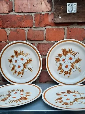 Buy Vintage Set Four Mountain Wood Pottery Dinner Plates   Dried Flowers  Collection • 15£