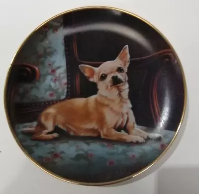 Buy Danbury Mint Chihuahua “Perfect Spot” By John Silver Limited Edition • 21£