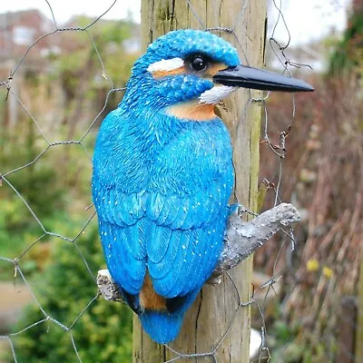 Buy Kingfisher Bird Garden Ornament Wall Mountable Outdoor Animal Statue • 15.99£