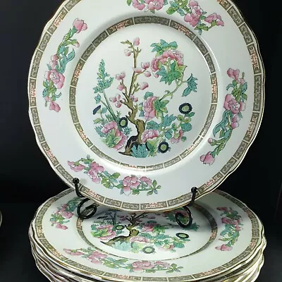 Buy 6x Vintage Old Foley James Kent Ceramic Dinner Plates Indian Tree 5984 9 3/4  • 35£