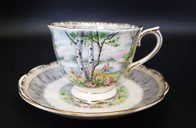 Buy Royal Albert Fine Bone China Tea Cup & Saucer Set  Silver Birch  Made In England • 14.23£