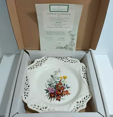 Buy Royal Creamware Floral Gift Plate Buttercups Paul Jerrard Reticulated Vintage • 5.99£