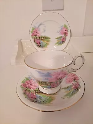 Buy Queen Anne Bone China Meadowside Cup , Saucer And Plate • 29.99£