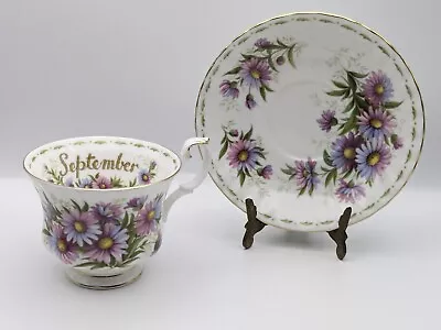 Buy Royal Albert Flower Of The Month September Michaelmas Daisy -  Teacup & Saucer • 15.95£