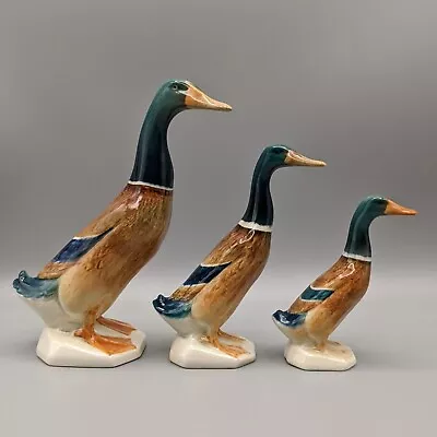 Buy Vtg Beswick Mallard Duck 756-1, 756-2, 756-2A Standing Duck Set Of 3 Figurines • 49.79£