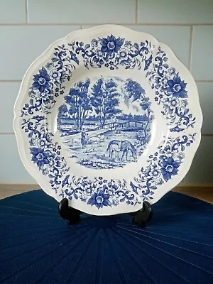 Buy Vintage Sarreguemines France Derby Blue&White Decorative Pasta /Soup Plate  • 15£