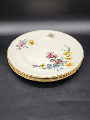 Buy Vintage Swinnertons Majestic Vellum Plate Set Of 3 Bone China Floral England • 10.71£