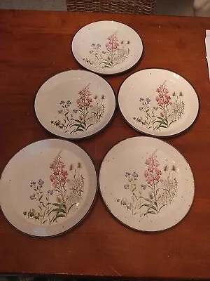 Buy  Vintage JG Meakin Lifestyle Wayside Stoneware Set Of 5 Dinner Plates 10  Floral • 113.80£