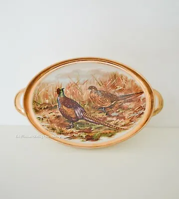 Buy Vintage Sheriden Pheasants Hand Painted Oval Dish Staffordshire Fine Bone China  • 25£