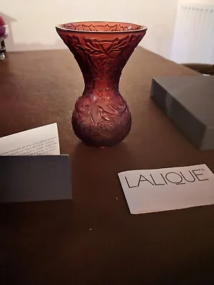 Buy Lalique Arabesque Rubis Glass Vase. New • 425£