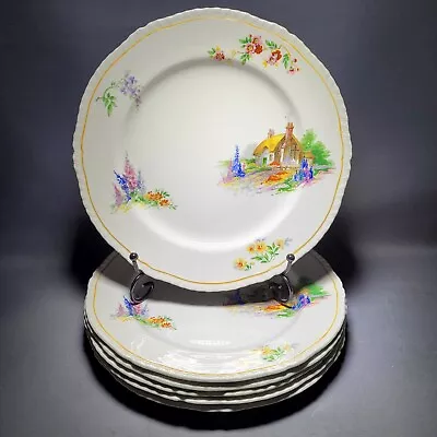 Buy 6x Vintage Alfred Meakin  Cottage Theme Dinner Plates Fairholm Gloria Shape  10  • 38.90£