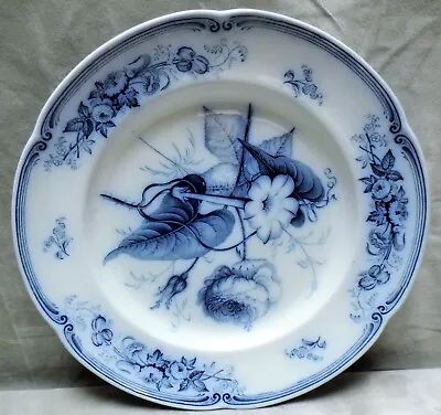 Buy Antique Ridgway & Morley Plate Circa 1842 VERONA Pattern Rare Blue White   B45A • 12.99£