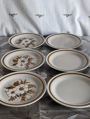 Buy Mountain Wood Collection Dried Flowers Tea Plates Vintage Stoneware X 6 • 2.99£