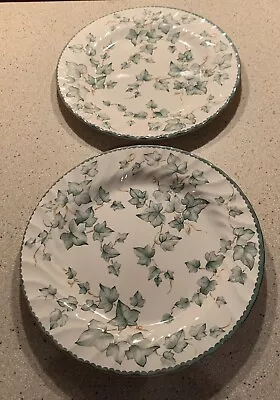 Buy British Home Stores BHS Country Vine IVY Set Of 2 Dinner Plates 26.5cm VGC • 11.99£