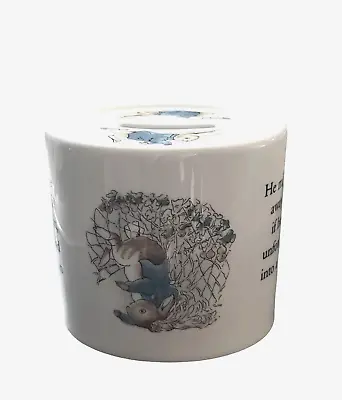 Buy Vintage Wedgewood Peter Rabbit  Ceramic Oval Money Box • 14.99£