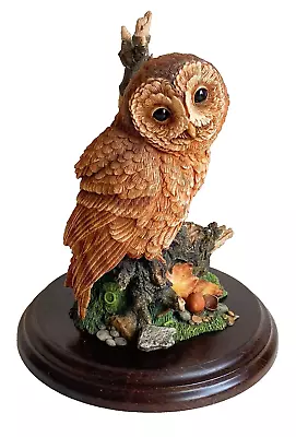 Buy Vintage Beautiful Royal Doulton Tawny Owl Figure 1991 • 19.99£