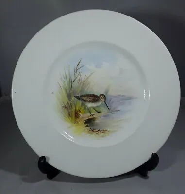 Buy Rare Antique Wedgwood Hand Painted China Plate With A Bird Snipe Cabinet Plate  • 15£