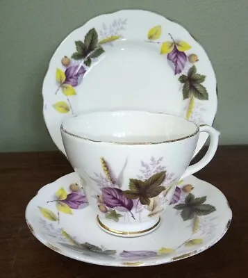 Buy Vintage, Duchess Bone China, Tea Trio, Cup, Saucer, Plate, Floral/Autumnal  • 4.95£