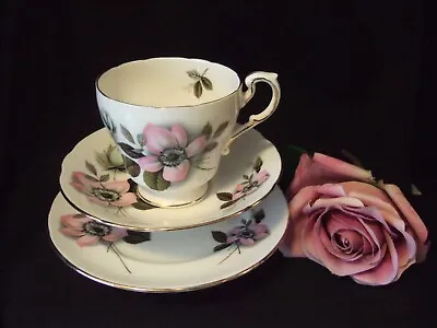 Buy Paragon Pompadour Bone China  Trio Tea Cup Saucer & Plate By Appointment To ERII • 4.99£