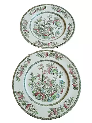 Buy Johnson Brothers England Indian Tree  9 7/8  Dinner Plates  - Set Of 2 • 28.77£
