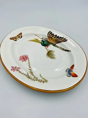 Buy 19th Century Antique Wedgwood Creamware Plate Hummingbird Butterflies • 20£