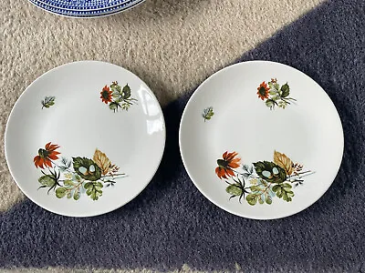 Buy Floral Plates Pangborne Ridgway Ironstone Made In Staffordshire England • 12£