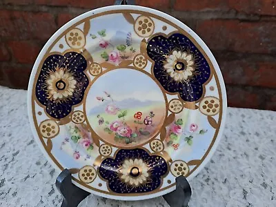 Buy Rare Antique Hammersley Hand Painted Plate 7.20 Inches • 19£
