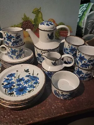 Buy Midwinter Stonehenge  SPRING Blue Floral Butterfly Vintage Coffee Set For 6 Pers • 80£