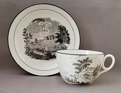 Buy New Hall Bat Printed Pattern 1063 Cup & Saucer 7 C1812-20 Pat Preller Collection • 20£