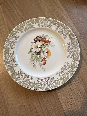 Buy Rare Alfred Meakin Decorative Plate • 20£