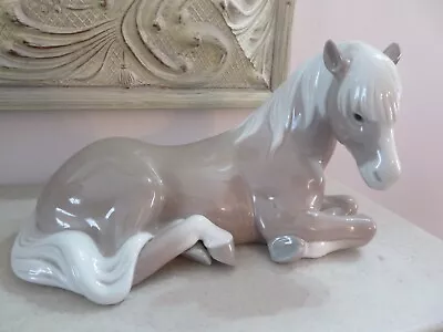 Buy *beautiful Rare* Lladro Horse Resting Figure Model 1203 • 18£