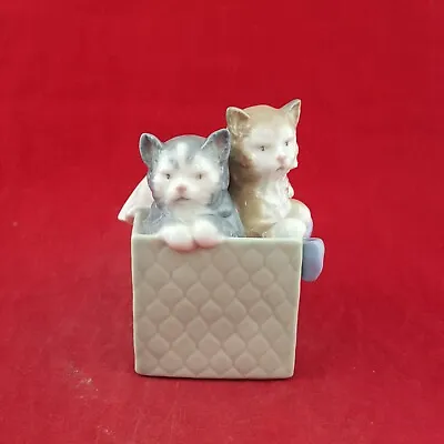 Buy Nao By Lladro Figurine - Purri-fect Gift - Two Kitten In Box (Chipped) - 7216 L/ • 16£