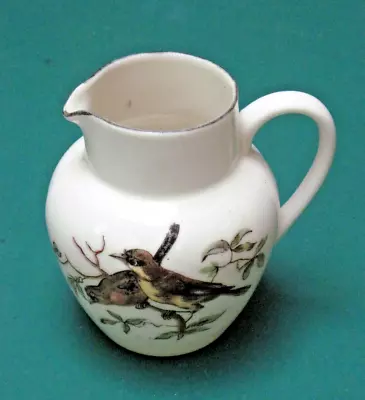 Buy Arcadian China Jug - Souvenir Of Loughborough - Pair Of Birds Design • 6£