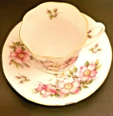 Buy Queen's Fine Bone China  Prairie Rose  Teacup And Saucer Vintage England • 16.26£