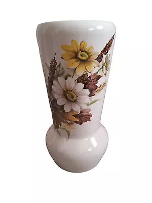 Buy New Devon Pottery Vase, Floral Vase, Beige, 20cm, Vintage • 8£