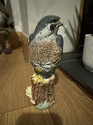 Buy Royal Doulton  Peregrine Falcon • 1.20£