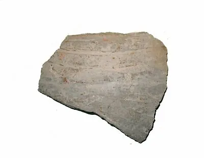 Buy Anasazi Lost Tribe Indian Pottery Shard 1000 Yrs Old Corrugated Scale Large #4 • 10£