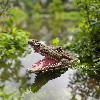 Buy Floating Crocodile Head Pond Ornament • 7.99£