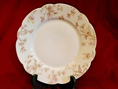 Buy T & V Limoges French China 9.5  Floral Plate Scalloped • 22.67£