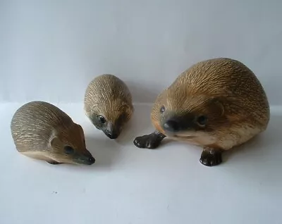 Buy Vintage Purbeck Pottery Animals  -  Adult Hedgehog With Two Baby Hoglets • 4.99£