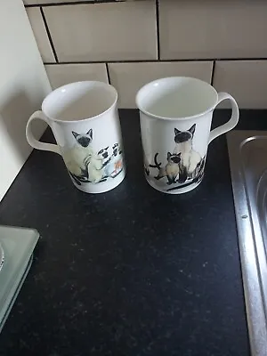 Buy 2 X Roy Kirkham Fine Bone China Cat Mugs New Hols 300 Ml Of Water  • 12£