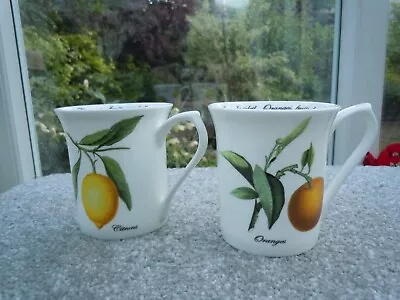 Buy Pair Queen’s Fine Bone China Fruits Du Soliel Oranges And Lemons Mugs • 14.50£