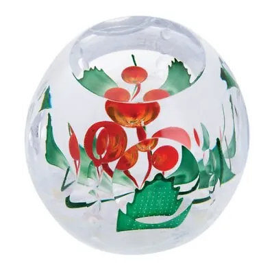 Buy Caithness Glass Paperweights Limited Editions - Various Designs • 175£