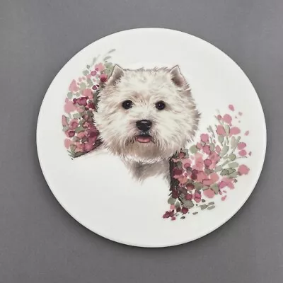 Buy Westie West Highland  Terrier 8” Collectors Plate English Fine Bone China • 4.95£