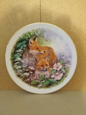 Buy Fenton Crown China Collectors Plate. RED FOX 🦊 • 4.99£